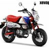 Honda Monkey FTR125 Limited Edition